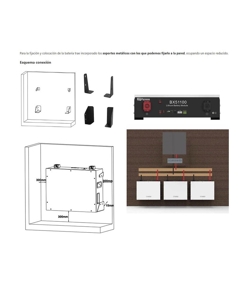 Batería Litio 5 1kWh Dyness BX51100 48V